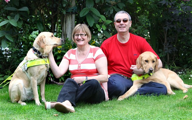 Blind couple to marry after guide dogs fall in love