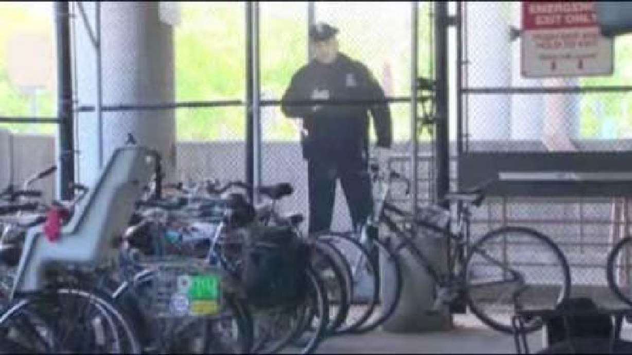 Cardboard officer cuts crime at Mass. subway stop
