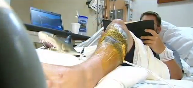 Erik Norrie recovers in a Tampa hospital after being bitten by a shark.