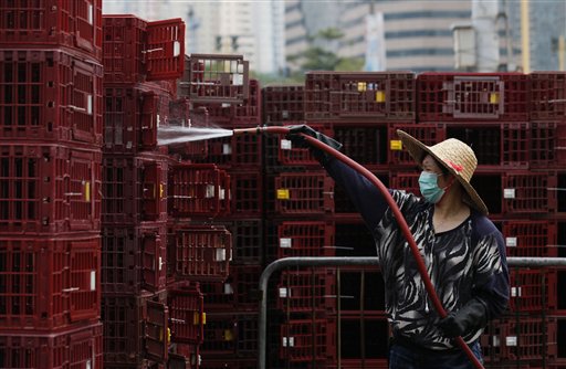 Scientists plan controversial lab-made bird flu 