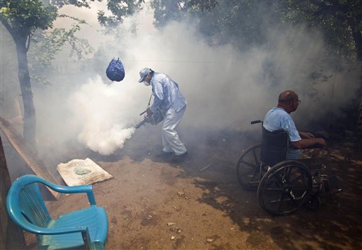 La OPS considera 2013 año epidémico de dengue en A.Latina tras alza de casos