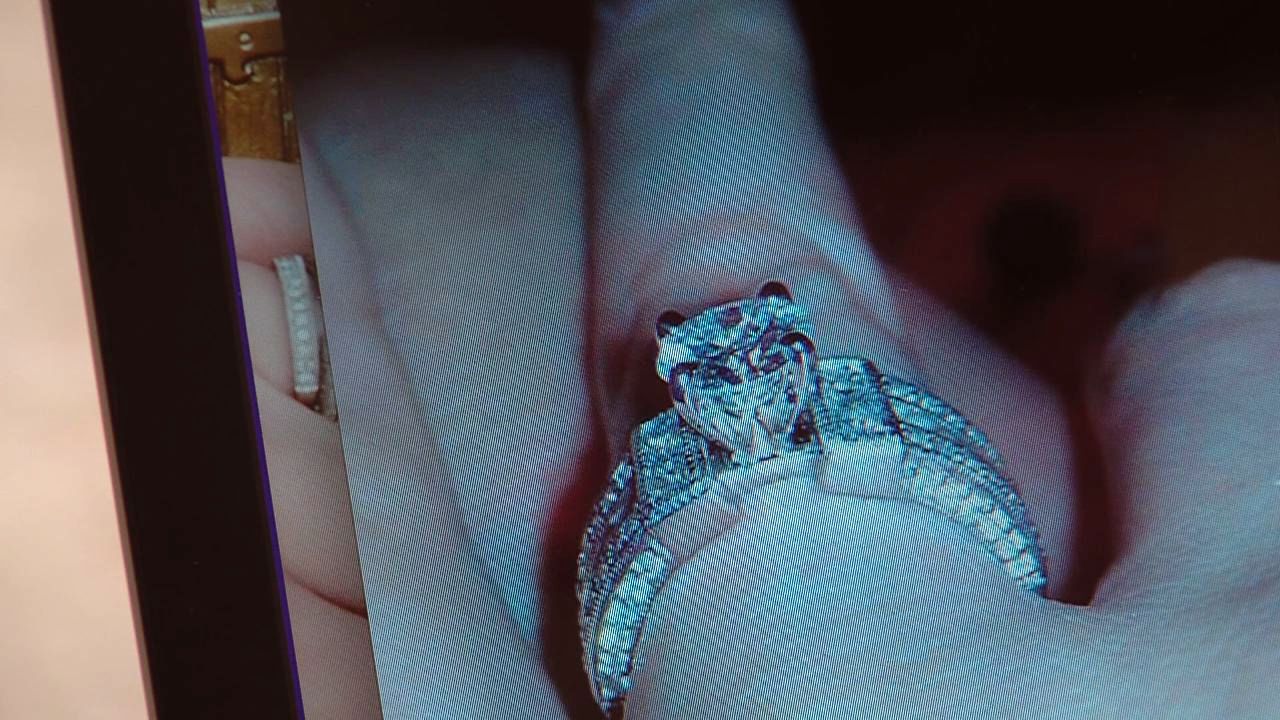 Sandy woman looking for wedding ring stolen from gym locker