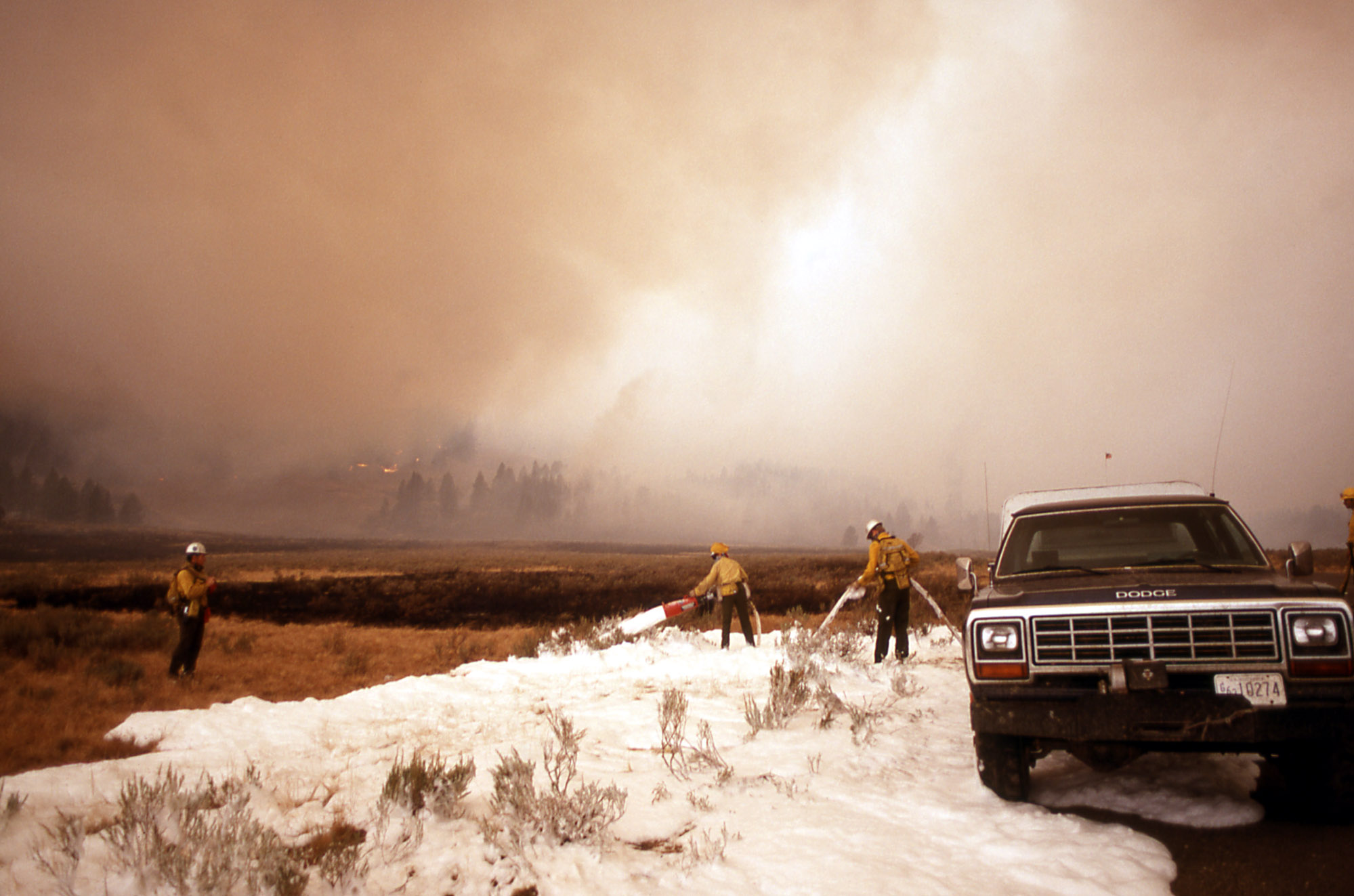 25 years later, Yellowstone still shaped by 1988 fire