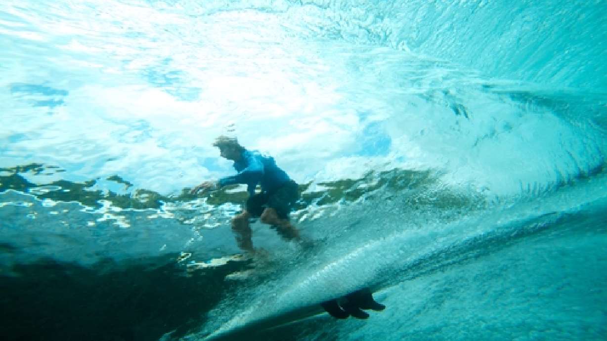 German visitor bitten by shark is on life support