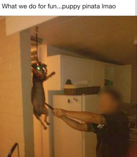 Sandy police reprimand owners for picture of 'puppy piñata' 