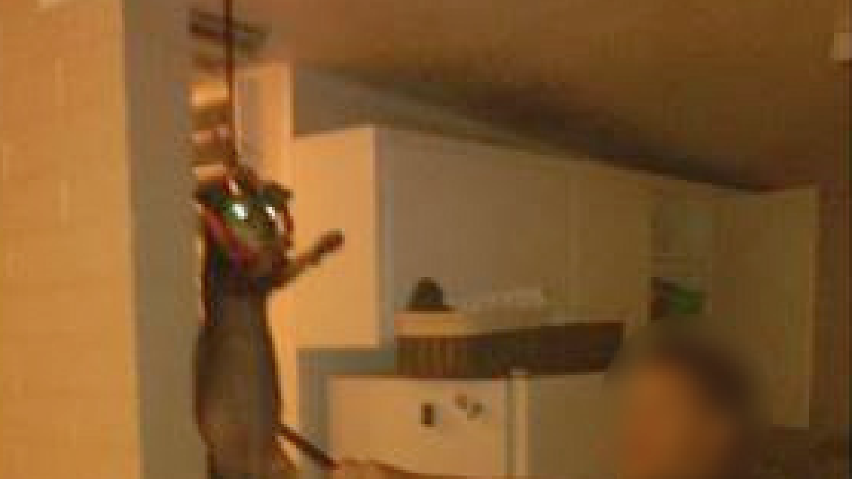 Sandy police reprimand owners for picture of 'puppy piñata'