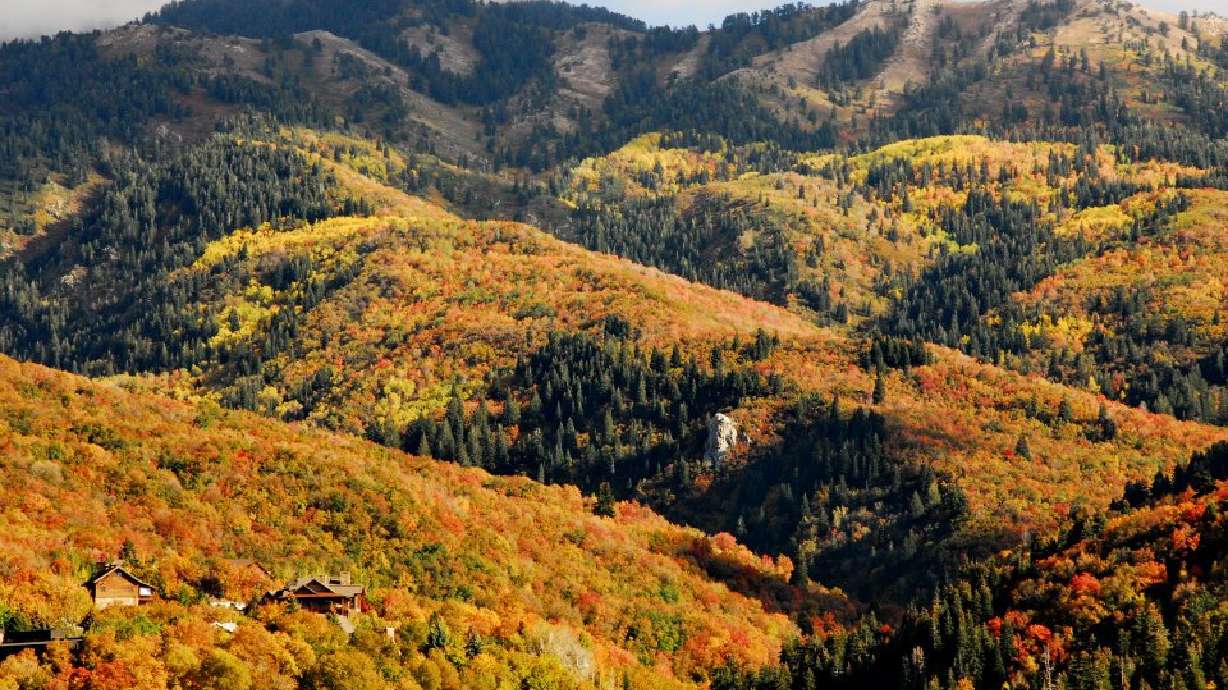 5 family-friendly hikes in Utah