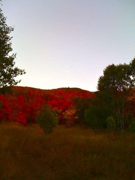 Big Springs Trail in the fall