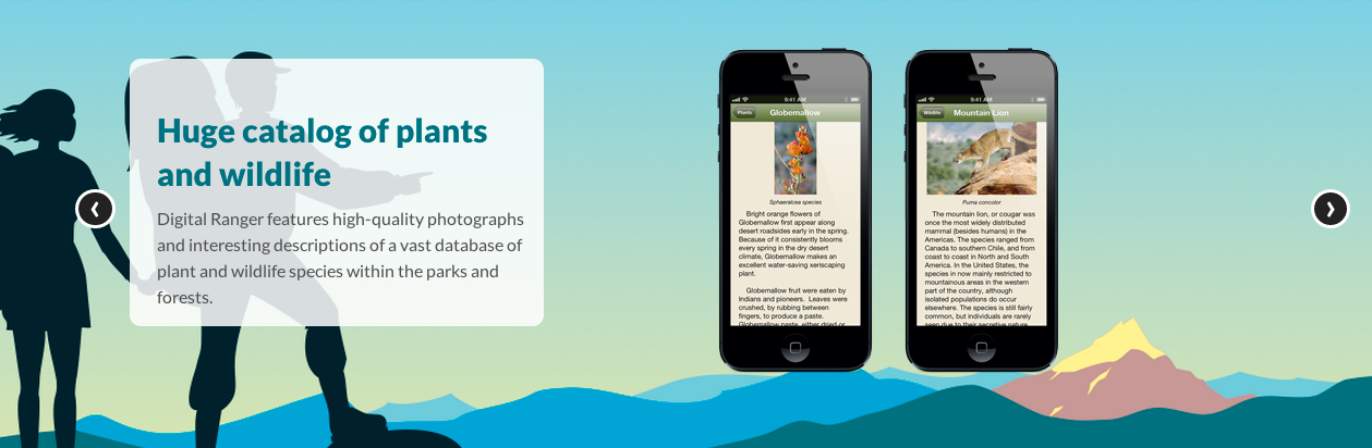 Venture to boost missionary funds leads to successful business