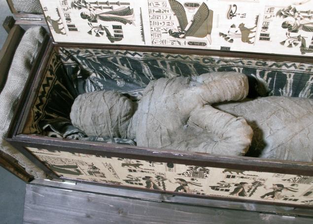 German boy finds mummy in grandfather's attic