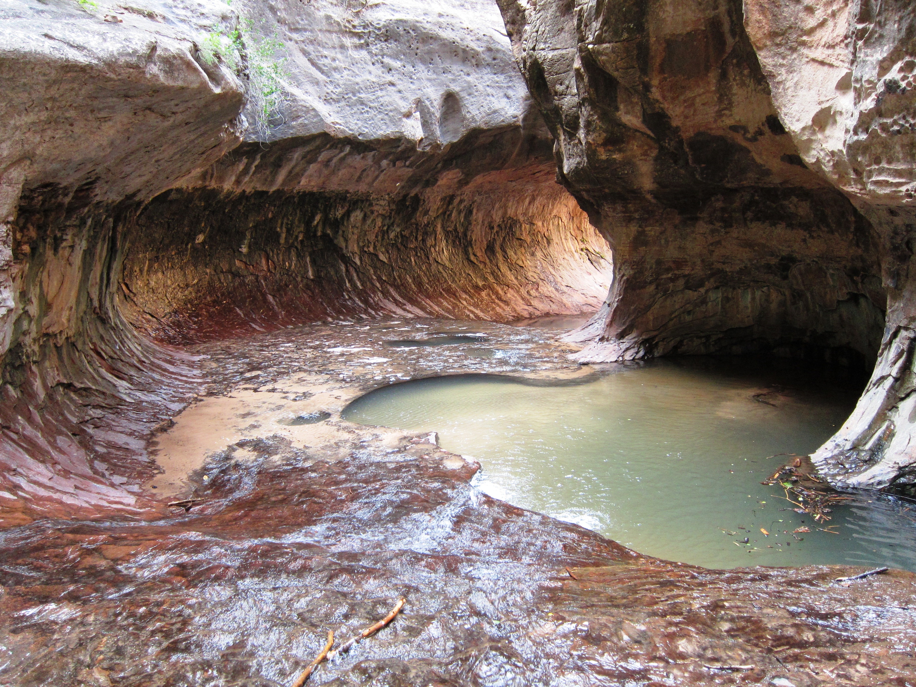 Woman dies after 100-foot fall in Zion National Park