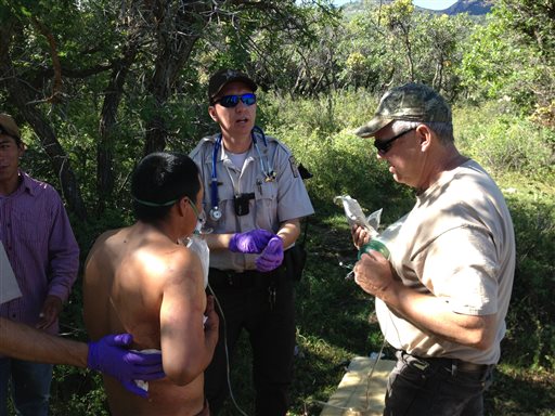 Man gored by elk while tending sheep