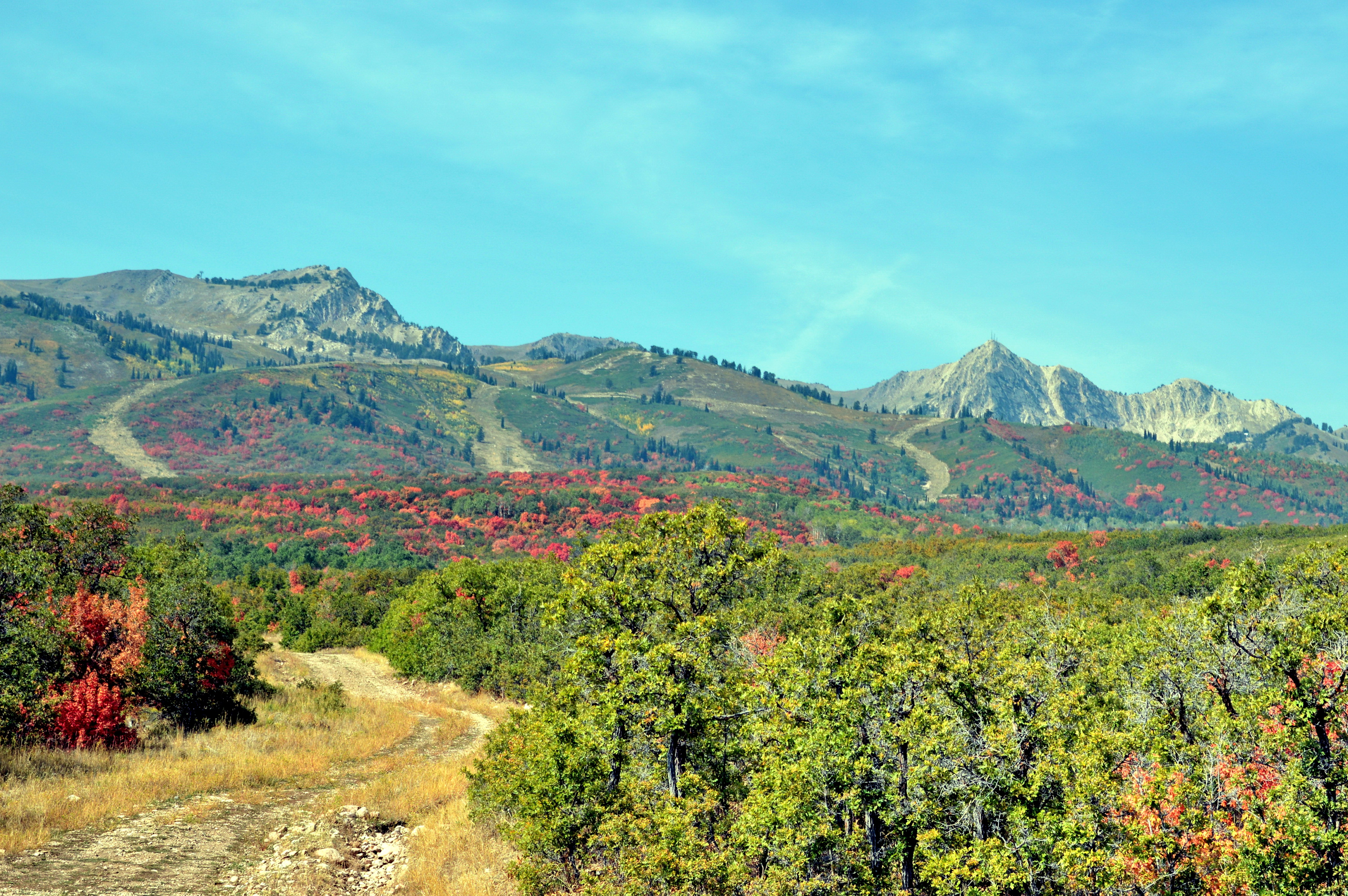 5 of the best places in Utah to see the fall colors