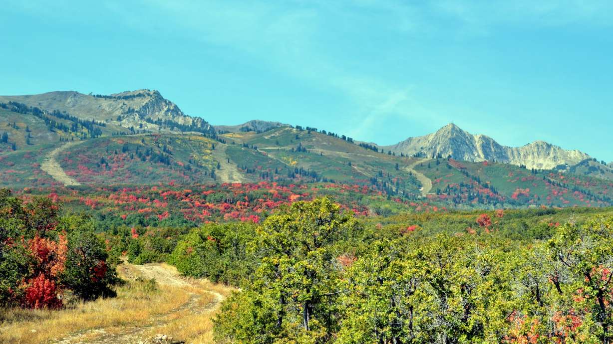 5 of the best places in Utah to see the fall colors