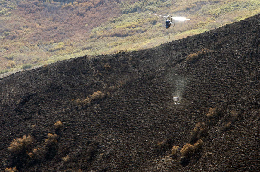 Insurance companies sue Army for $1.3M over Machine Gun Fire claims