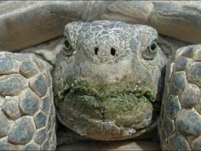 Landowner sues Feds over bankruptcy from development standstill