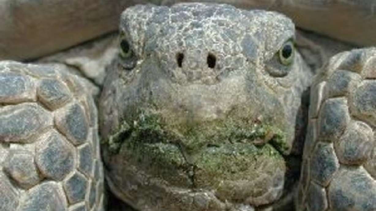 Landowner sues Feds over bankruptcy from development standstill