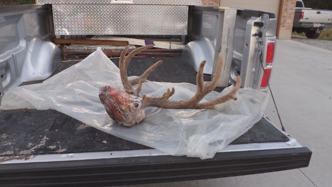 Man arrested in poaching incident; police search for 2nd poacher