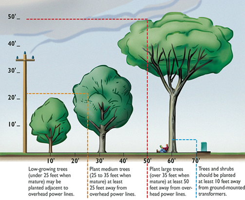 Fall is an important time to think about tree
maintenance. Rocky Mountain Power has lots of
information to help you manage your trees
around power lines.