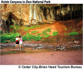 Kolob Canyons in Zion National Park