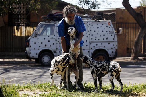 Protector de dálmatas podría ser desalojado
