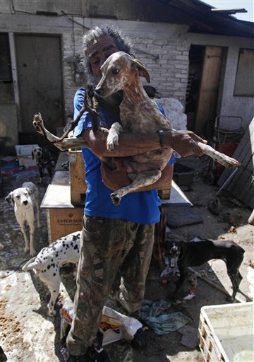 Protector de dálmatas podría ser desalojado