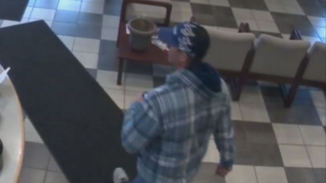 Police search for car thief caught on dealership surveillance