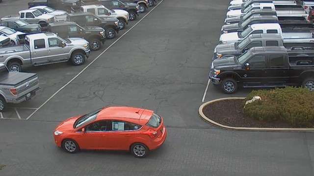 Surveillance cameras captured video of a man driving out of Ogden's Westland Ford dealership with a red Ford Focus on Oct. 4. Ogden police are investigating the theft and hope the video helps to identify the man. (Photo: Westland Ford)