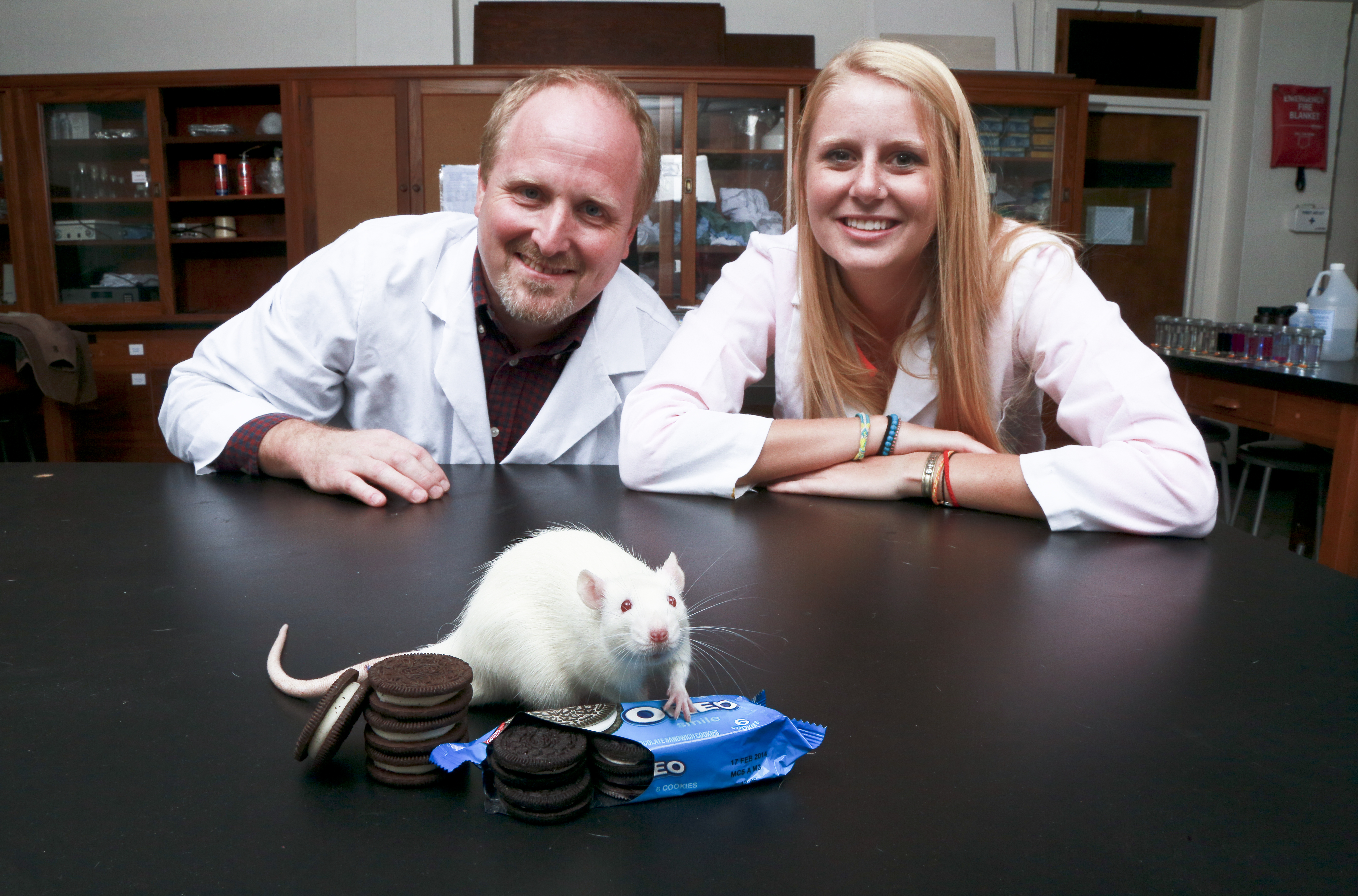 Joseph Schroeder (left), associate professor of psychology and director 
of the behavioral neuroscience program at Connecticut College, and 
Lauren Cameron (right), a senior at Connecticut College and student 
researcher in Schroeder's lab, found that in lab rats, eating Oreos 
activated more neurons in the brain's "pleasure center" than exposure 
to drugs of abuse. Photo by Bob MacDonnell, courtesy of Connecticut 
College.