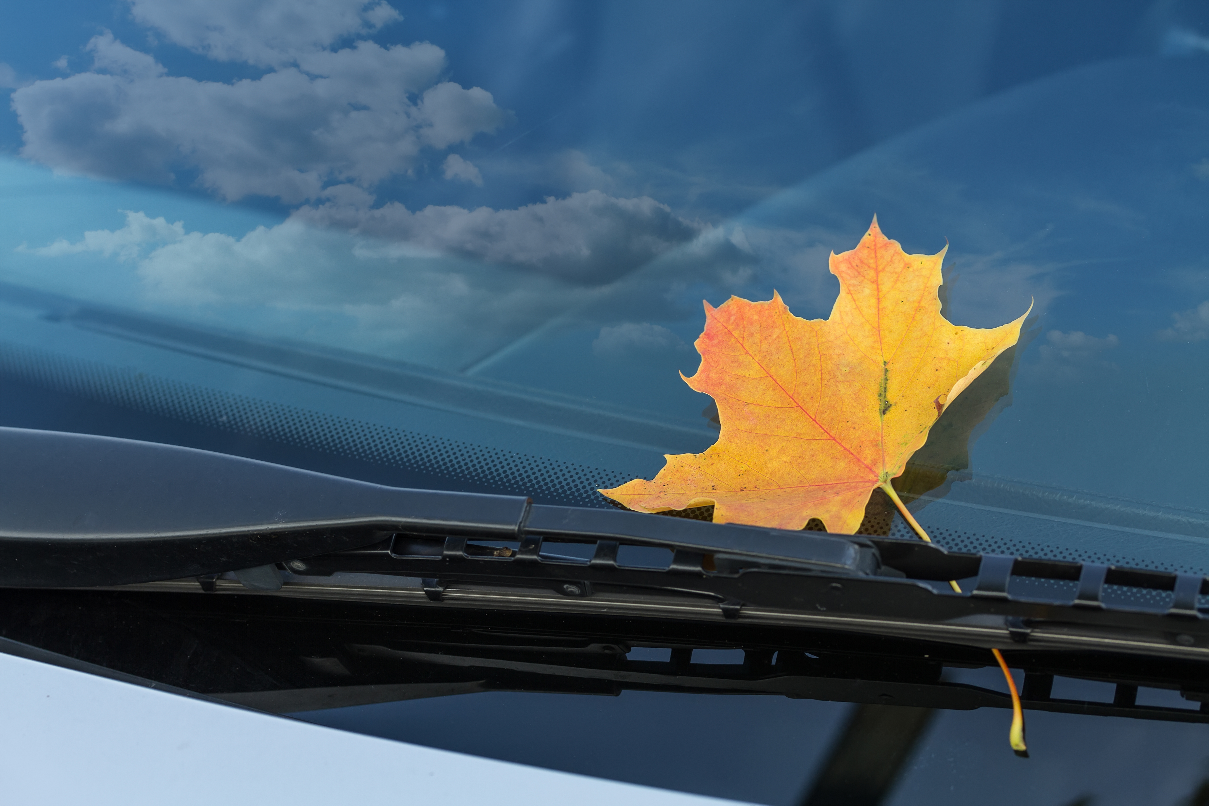 6 tips for your car during 'Car Care Month'