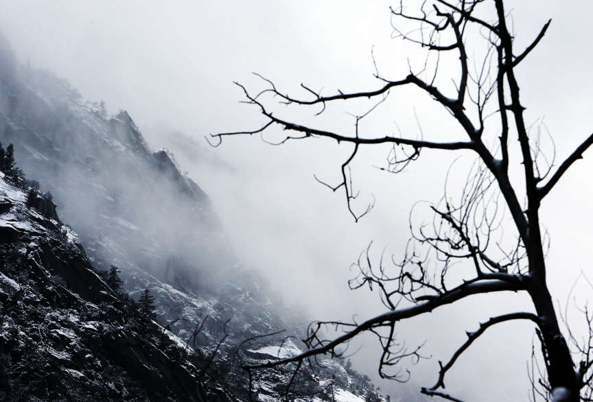 DNA discovery may shed light on legendary Yeti