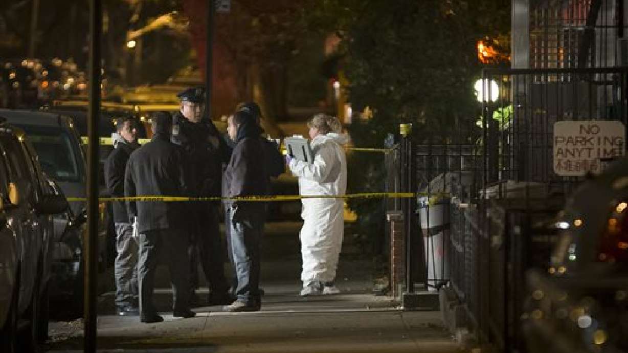 Police describe gruesome stabbings of NY mom, kids