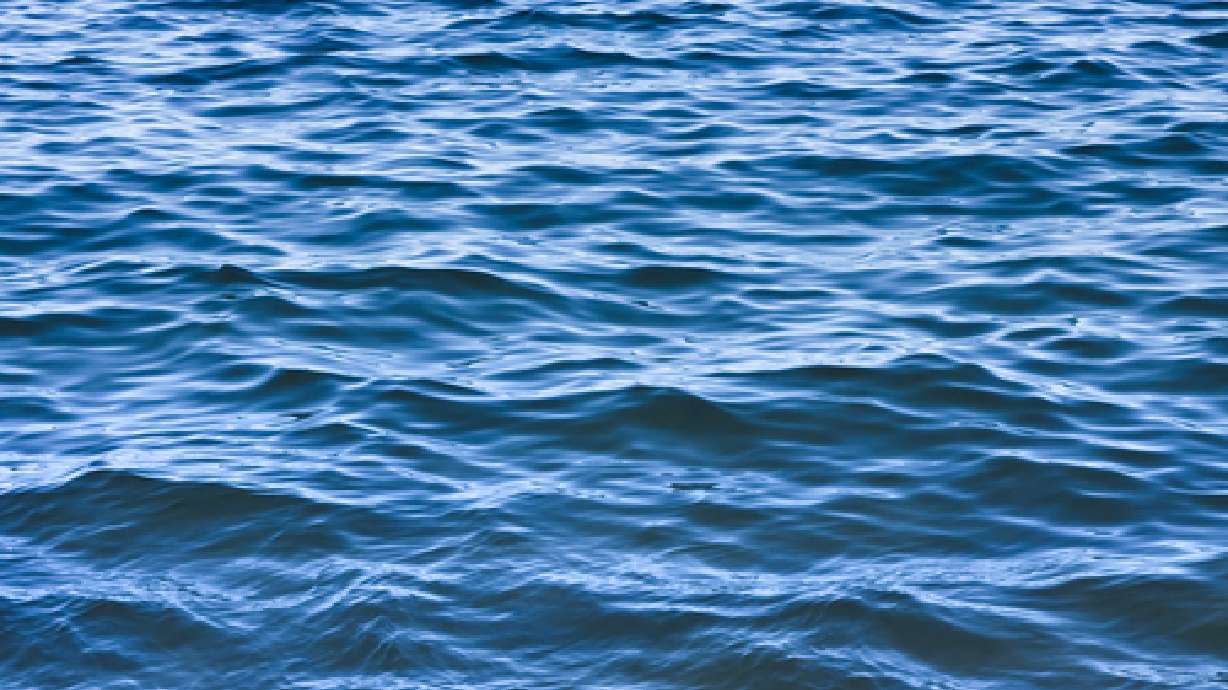 Father, son swim to safety after wind capsizes canoe