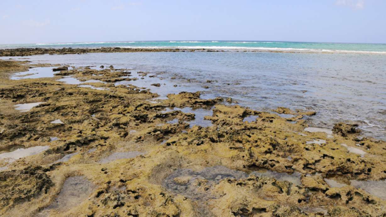 5 cannons raised from wreck of Blackbeard's ship