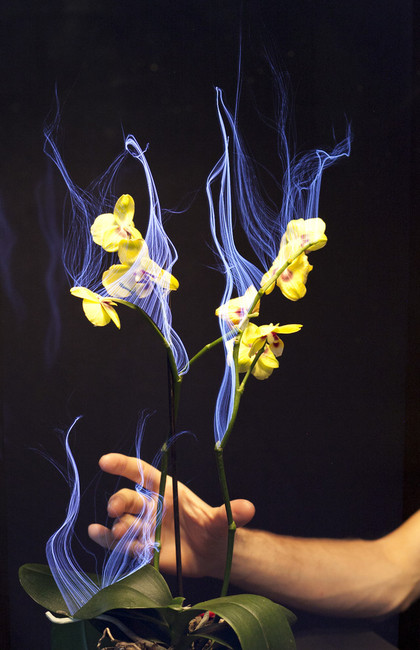 What will the future of touch look like? With 
haptic technology, which could be described as 
the science of touch, users have a physical 
experience, making the technology more 
interactive. This will revolutionize the gaming 
experience but also be useful in medicine and 
every-day life. How about plants that can 
interpret how you touch them?