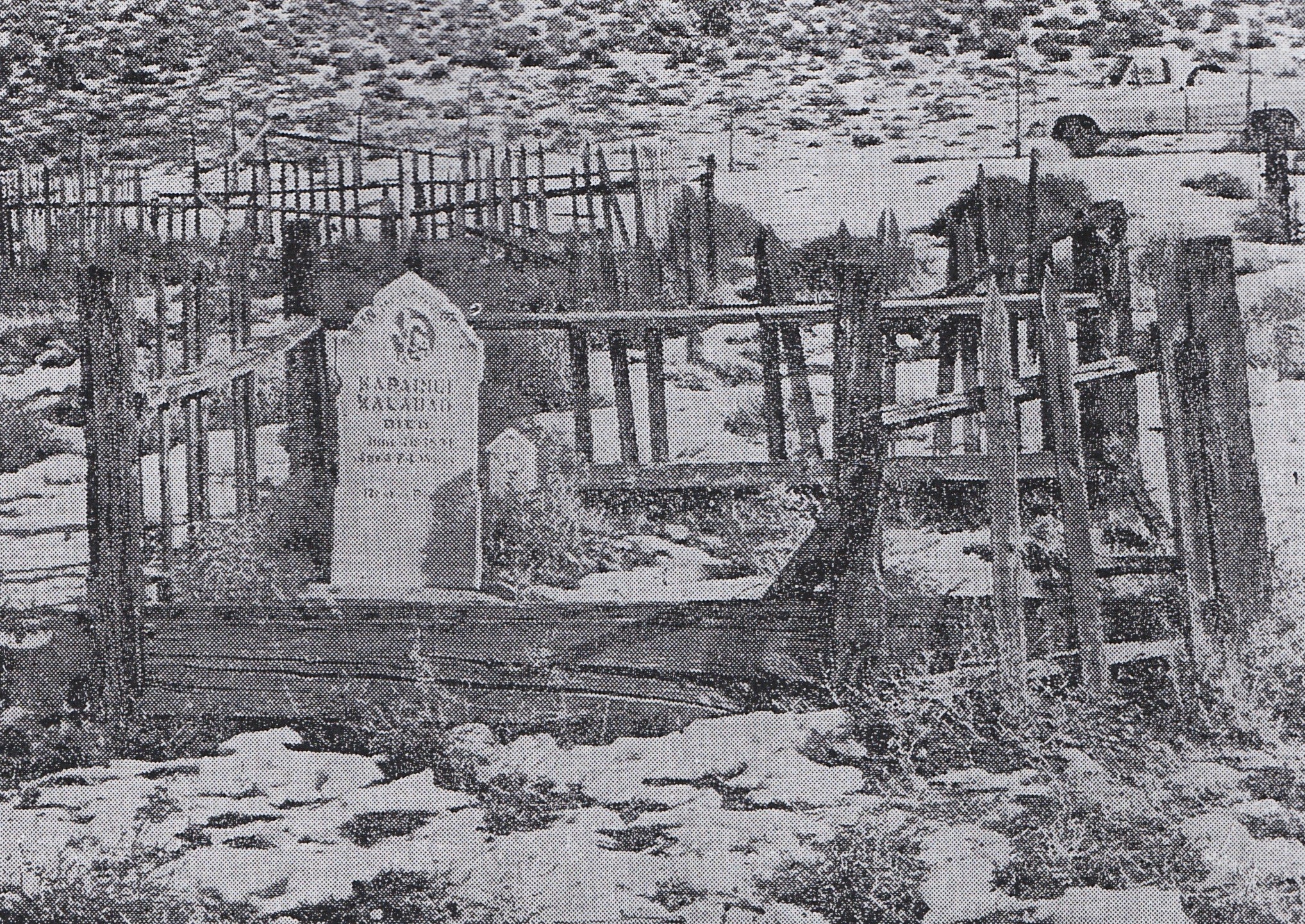 Utah ghost town once Hawaiian paradise