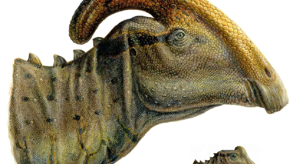 Southern Utah dinosaur discovery now on display in 3D