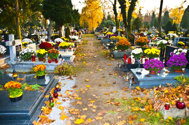 El día de los muertos, culturas y tradiciones que se funden en un propósito