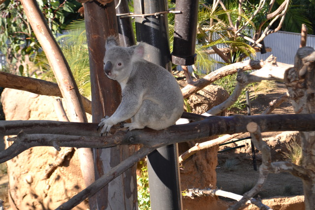 4 reasons to take a family trip to San Diego