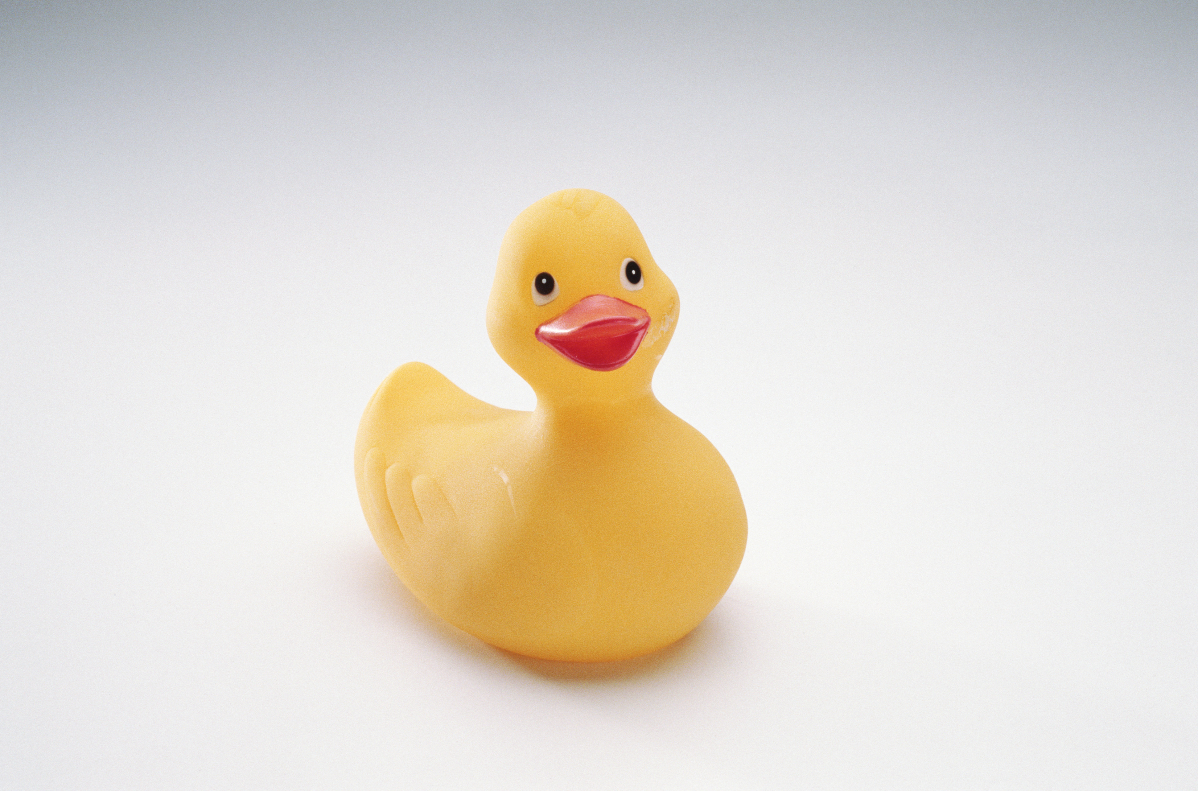 Chess, rubber duck inducted into Toy Hall of Fame 