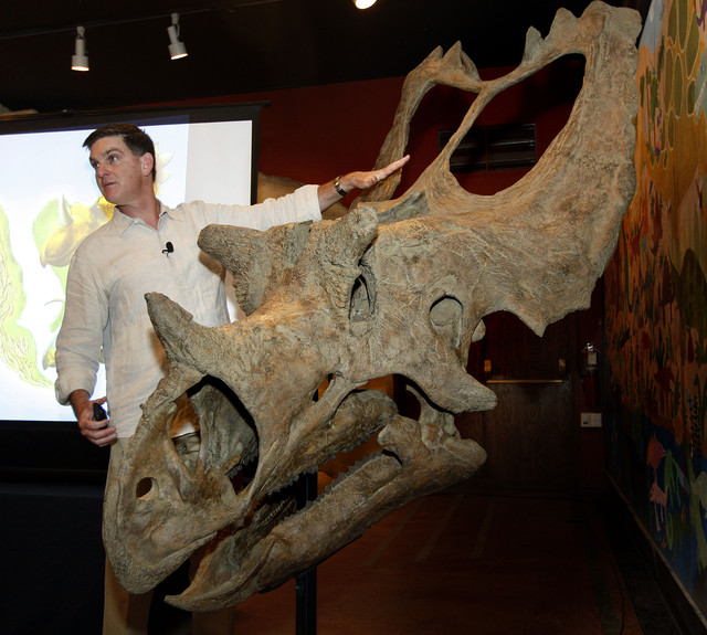 Grand Staircase discoveries featured in new book