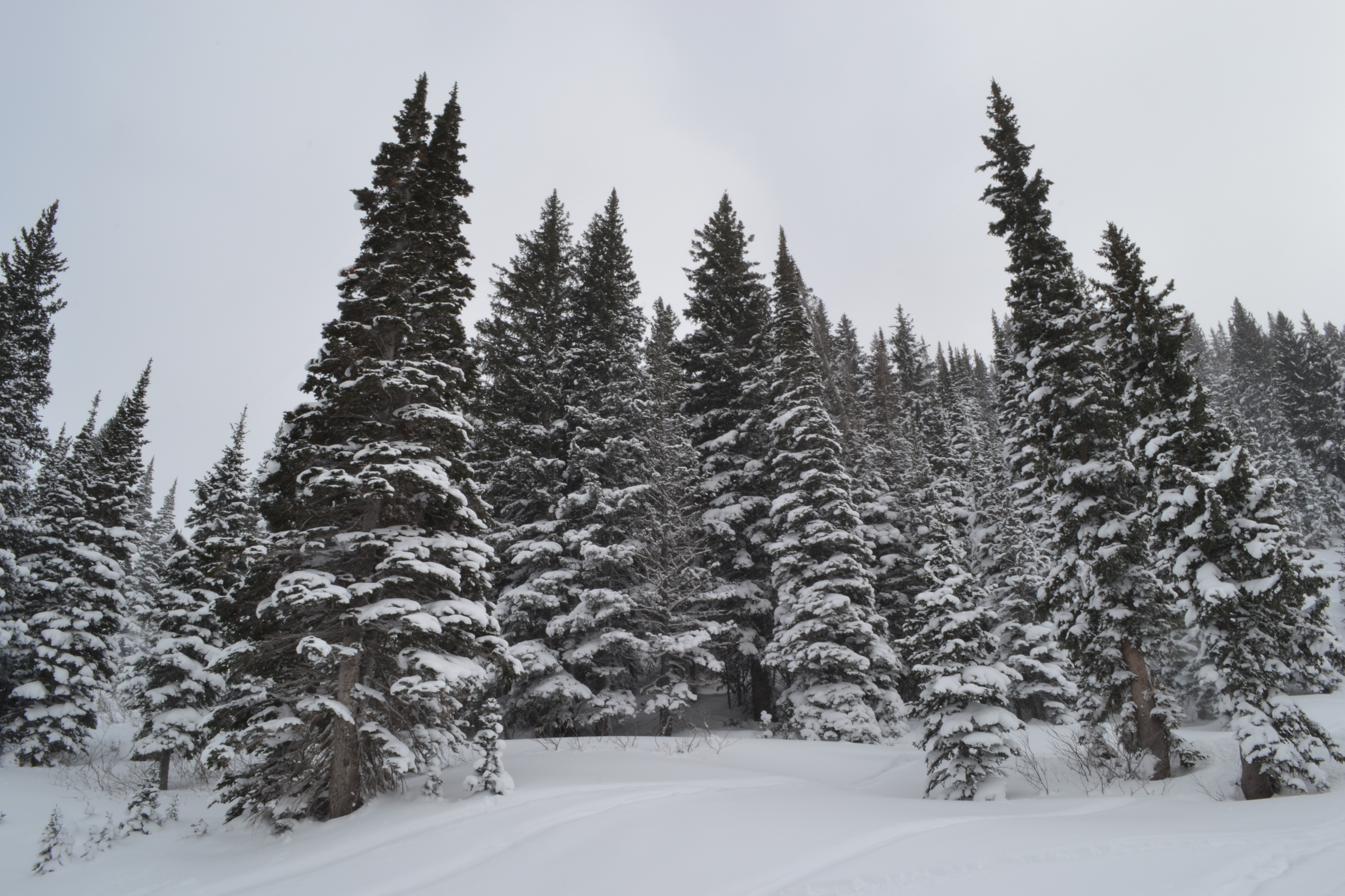 Why Utahns should look forward to winter