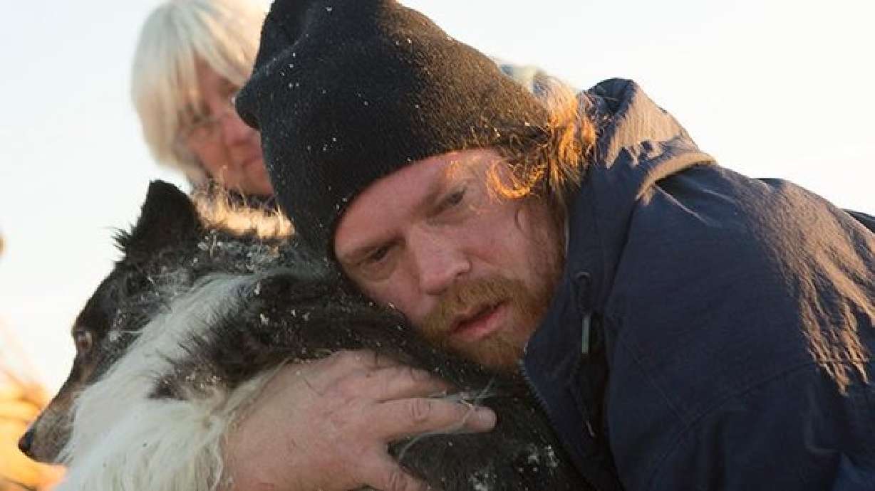 Man discovers missing dog alive in rubble after tornado destroys house