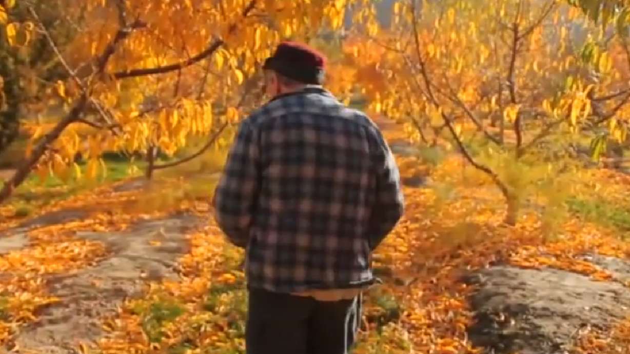La felicidad no es un destino, sino una travesía