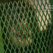 Chimps should be recognized as 'legal persons,' lawsuits claim 