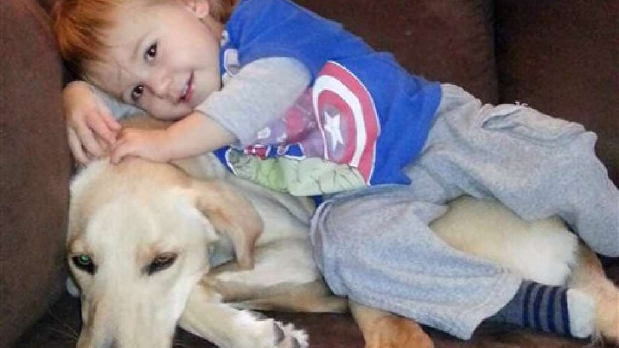 Wags and barks: What is your dog telling you?