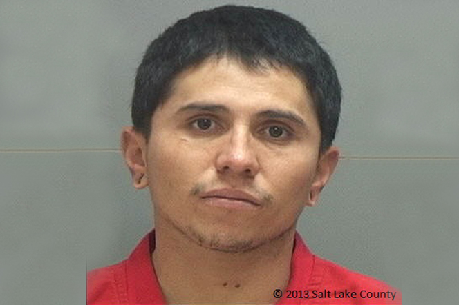 Officers: Naked man bites police dog