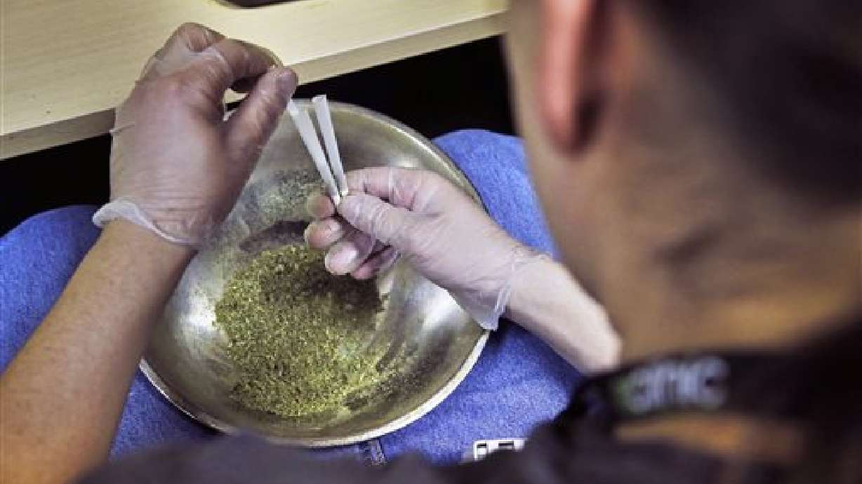 Enferman 221 por marihuana sintética en Colorado