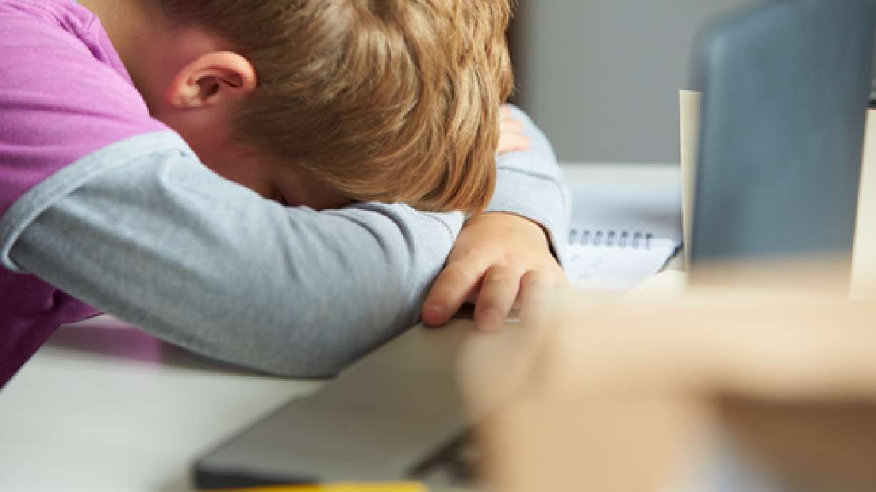 cyberbully, cyber, bully, boy, computer, tired, desk