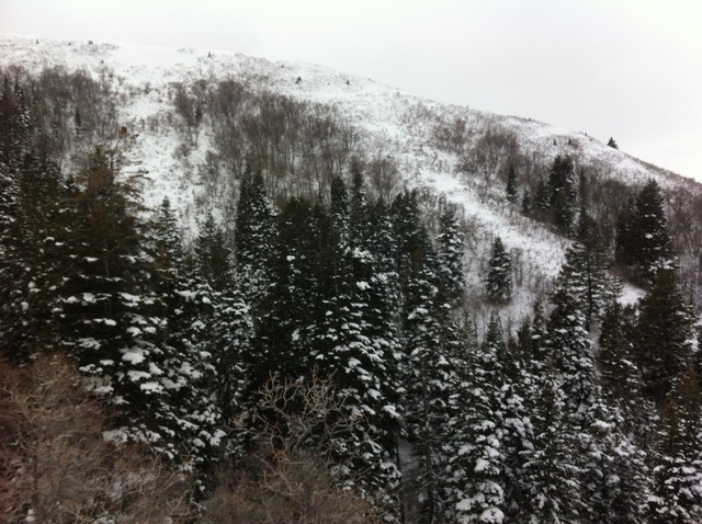 Why you should snowshoe at Rudy's Flat